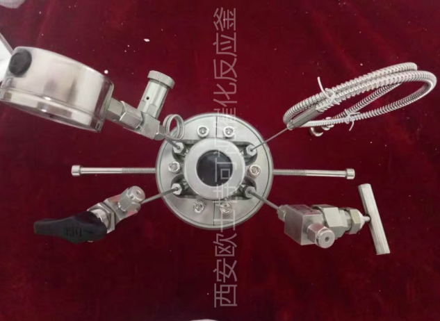 OST-R微型视窗高压反应釜(图1) OST-R微型视窗高压反应釜(图1)